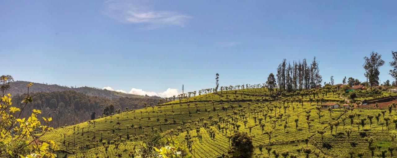 Club Mahindra Derby Green, Ooty Luaran gambar